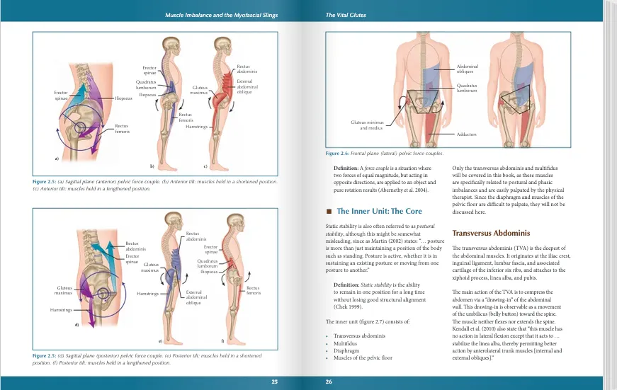 The Vital Glutes