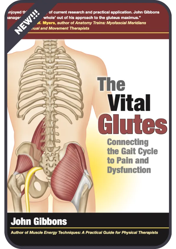 The Vital Glutes