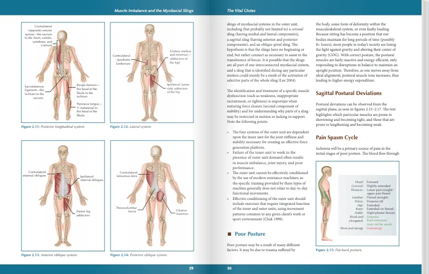 The Vital Glutes