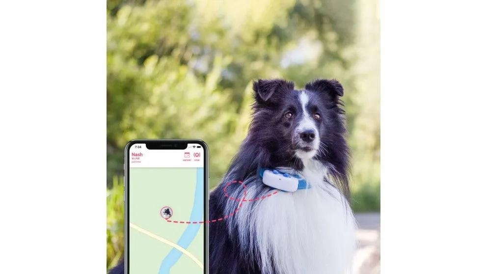 Tractive GPS Dog 4 Pet Tracker/Perfect for Pets